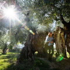 Olivo millenario e Claudia