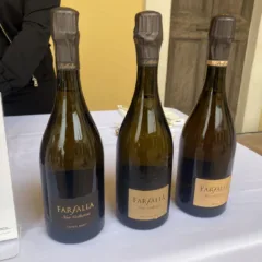 Oltrepo Pavese Terra di Pinot Nero