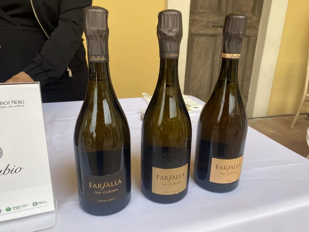 Oltrepo Pavese Terra di Pinot Nero