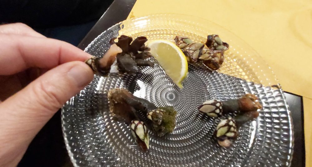 Food Osteria Contemporanea – percebes crostacei particolari