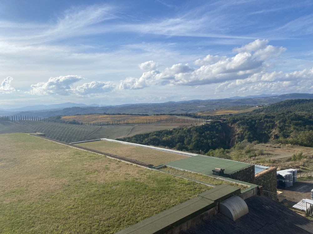 Brunello d iMontalcino - Riserva 2016 - Foto Camigliano Vigna