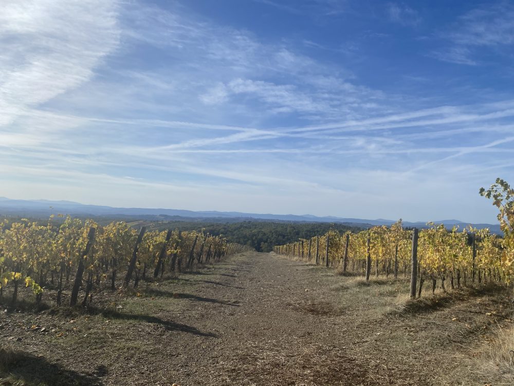 Chianti Classico Berardenga Terra di Seta