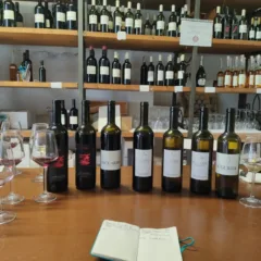 Vini Apuani - La Degustazione