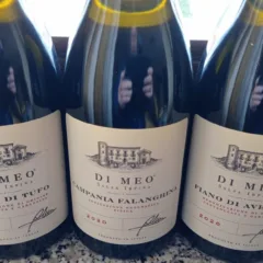 Vini Azienda Di Meo