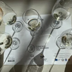 Master class fiano di Salerno