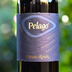 Pelago 1995 Umani Ronchi