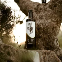 Bottiglia olio evo Cortisella