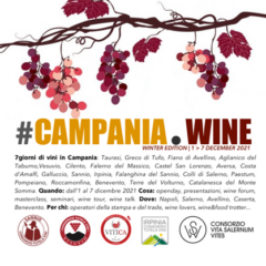 Campania Wine