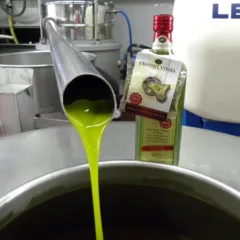 Frantoi Cutrera - olio appena franto
