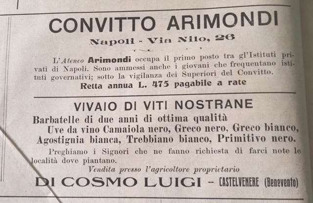 Primo decennio del '900 - Prime tracce di camaiola