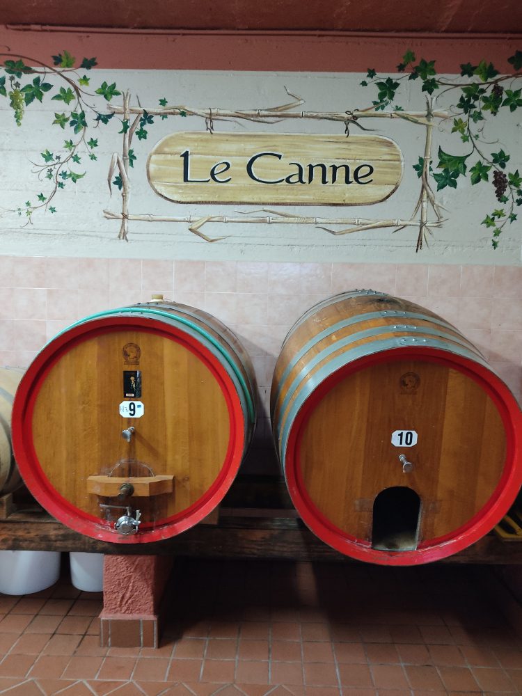 Le Canne - Le botti