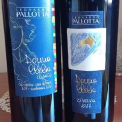 Vini Leonardo Pallotta