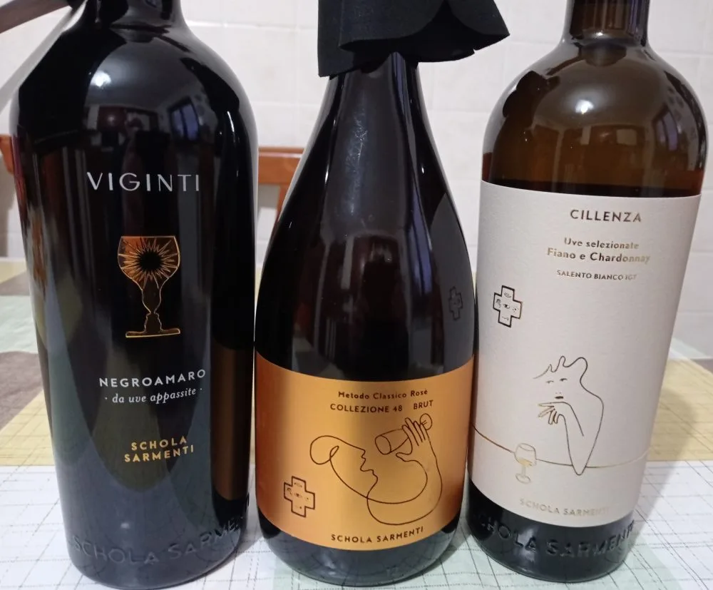 Vini Schola Sarmenti