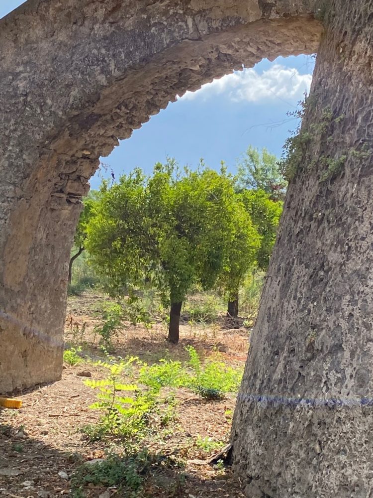 Zuppa alla Sante'- Scorcio della campagna pestana