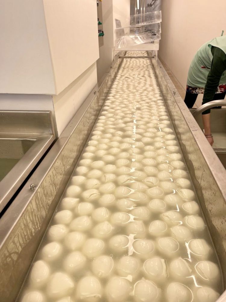 Caseificio di Citta' - Mozzarella di bufala campana doc