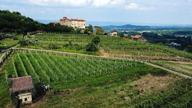 Fratelli Marco - le vigne