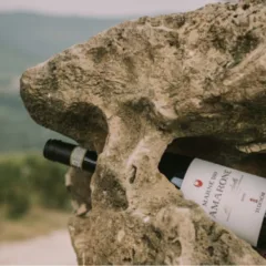 Marne 180 Amarone della Valpolicella DOCG 2016 Tedeschi