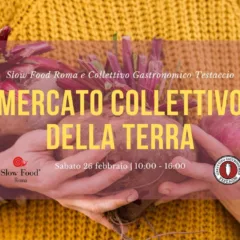 Mercato Collettivo delle Terra