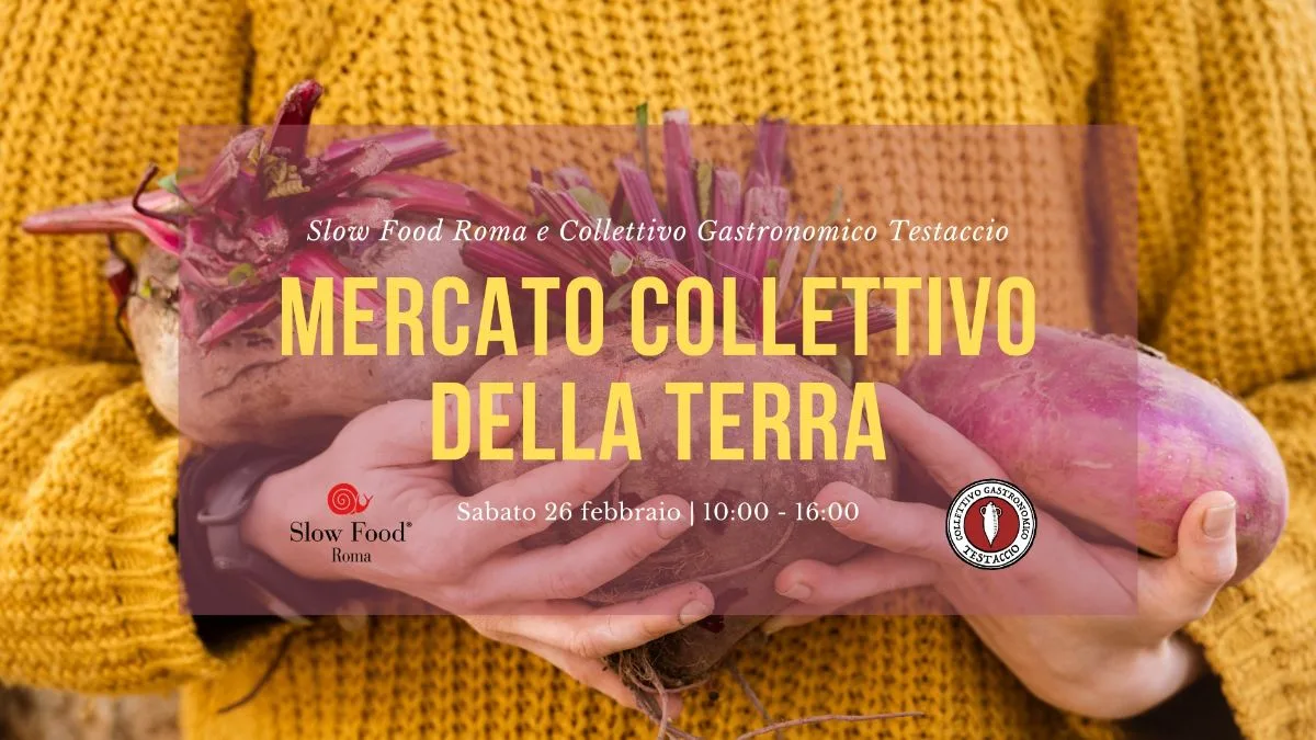 Mercato Collettivo delle Terra