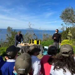 Olio Oro di Capri a confronto con le nuove generazioni