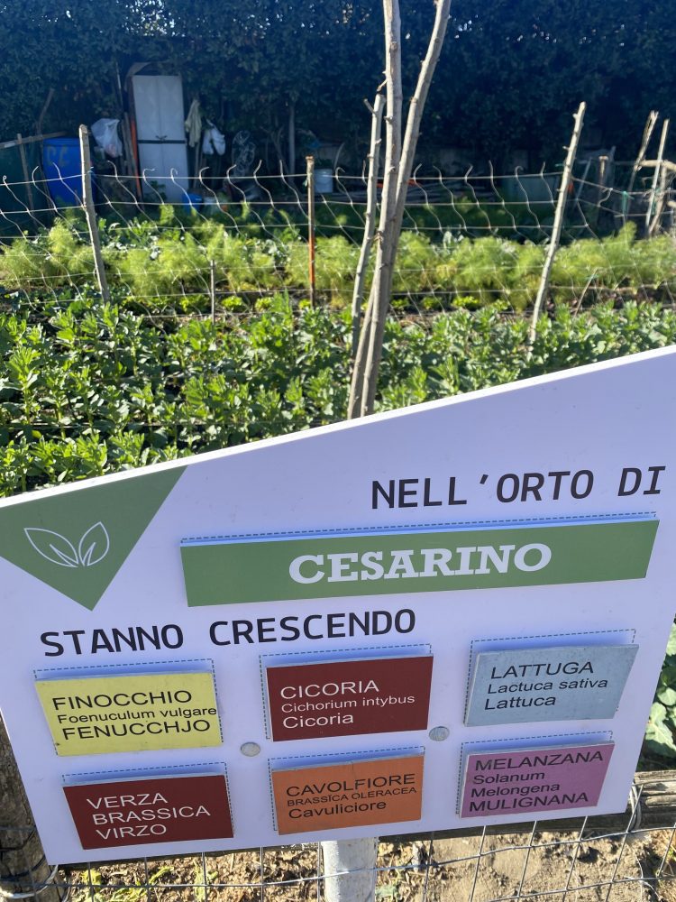 Orto - Casale di Teverolaccio