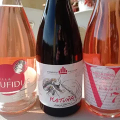 Vini Vignaioli Pugliesi