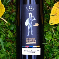 Costa Toscana IGT Principe Guerriero Anfora 2019 – Pagani De Marchi