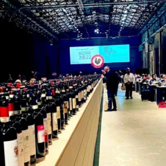 Chianti Classico Collection 2022 il Gallo Nero