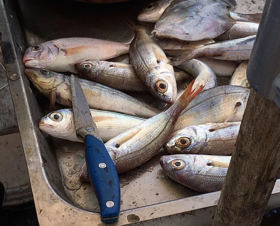 A piscaria, il mercato del pesce di Catania