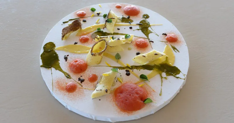 Pomodoro su Tela di Andrea Alessandrelli