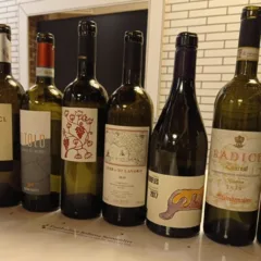 Bottiglie di vino de I Grandi vini Rossi del Sud Italia