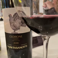 Cedrone Lagrein Trentino DOC 2019 Tenute Sajni Fasanotti