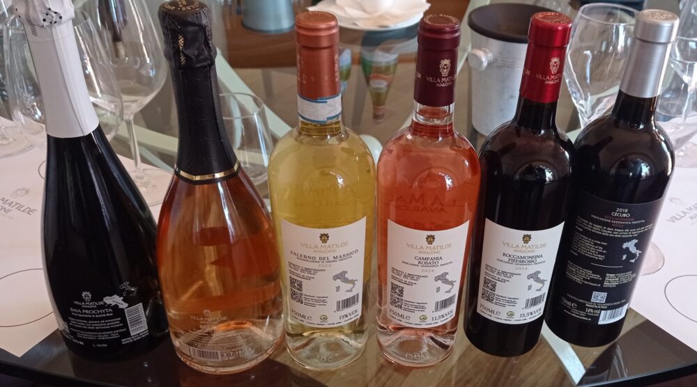Controetichette vini Villa Matilde