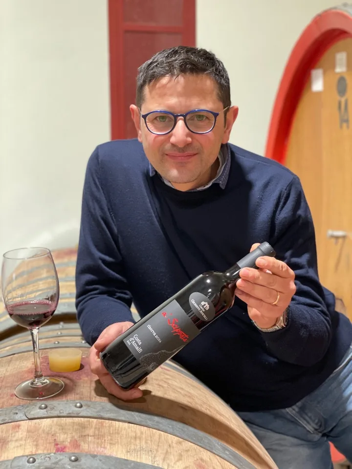 Prisco Apicella - copertina