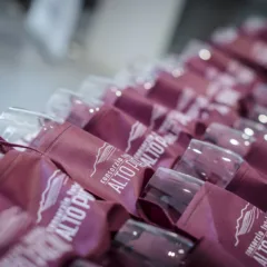 Taste Alto Piemonte Napoli I Nebbioli dell’Alto Piemonte a Napoli