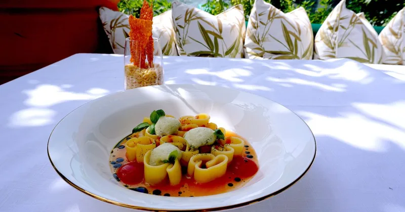 Campotti alle sfumature di pomodoro e basilico di Alessandro Stefani