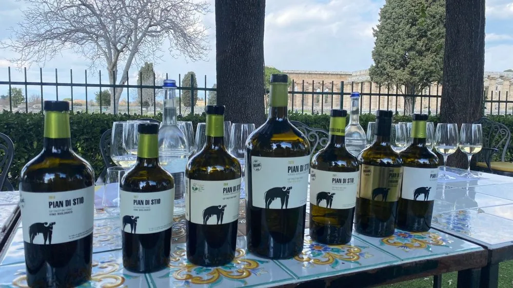 Verticale Pian di Stio AziendaSan Salvatore 1988