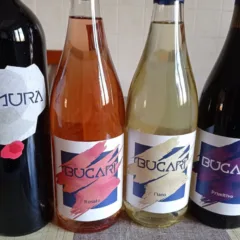 Vini azienda Recchia Leonarda