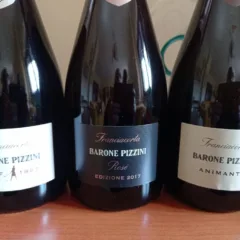 Vini spumanti Barone Pizzini
