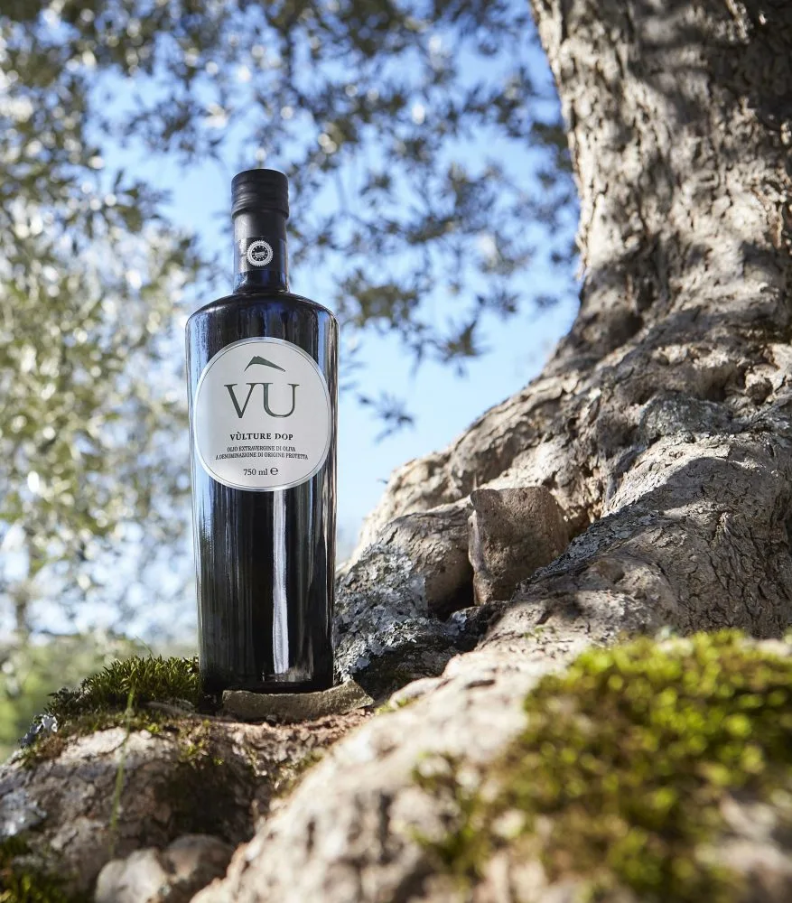 Vùlture Dop e ulivo