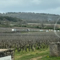 Chardonnay secondo Bruno Colin