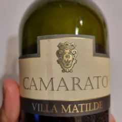 Villa Matilde – Falerno del Massico DOC Rosso Vigna Camarato 2006