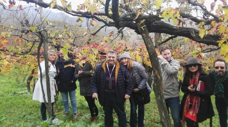 Ospiti canadesi in visita alla vigna del Bue Apis