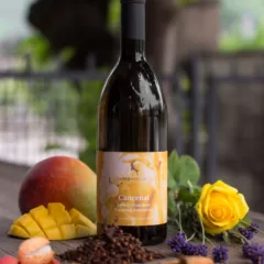 Alto Adige Gewurtztraminer doc Cancenai 2021 Rottensteiner