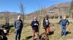 Catasta. Sergio, Giovanni, Manuela, Donato