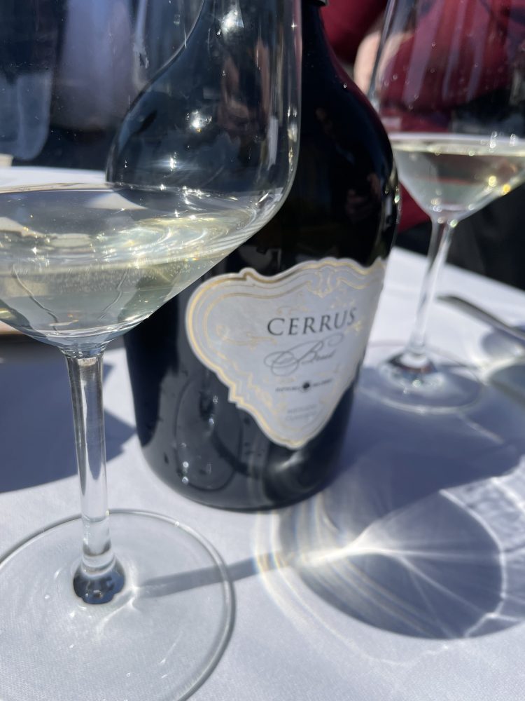 Cerrus Brut- Tenute del Cerro- Spumante Metodo Classico