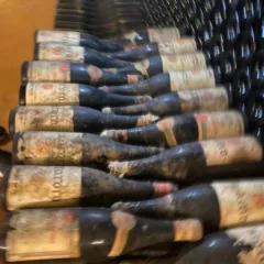 Colline Teramane - C antine Emidio Pepe i vini invecchiati