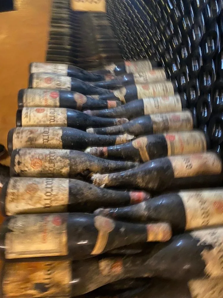 Colline Teramane - C antine Emidio Pepe i vini invecchiati