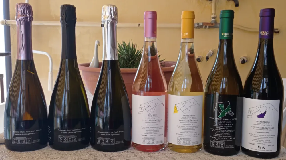 Controetichette vini Verrone