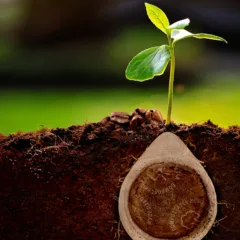 Cialda compostabile - Caffè Borbone